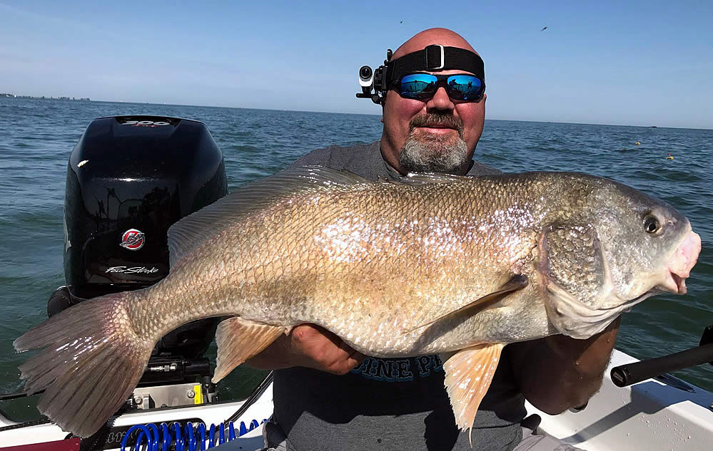 Sheephead - Freshwater Drum Fishing