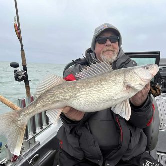 NTC-lake-erie-walleye-26E